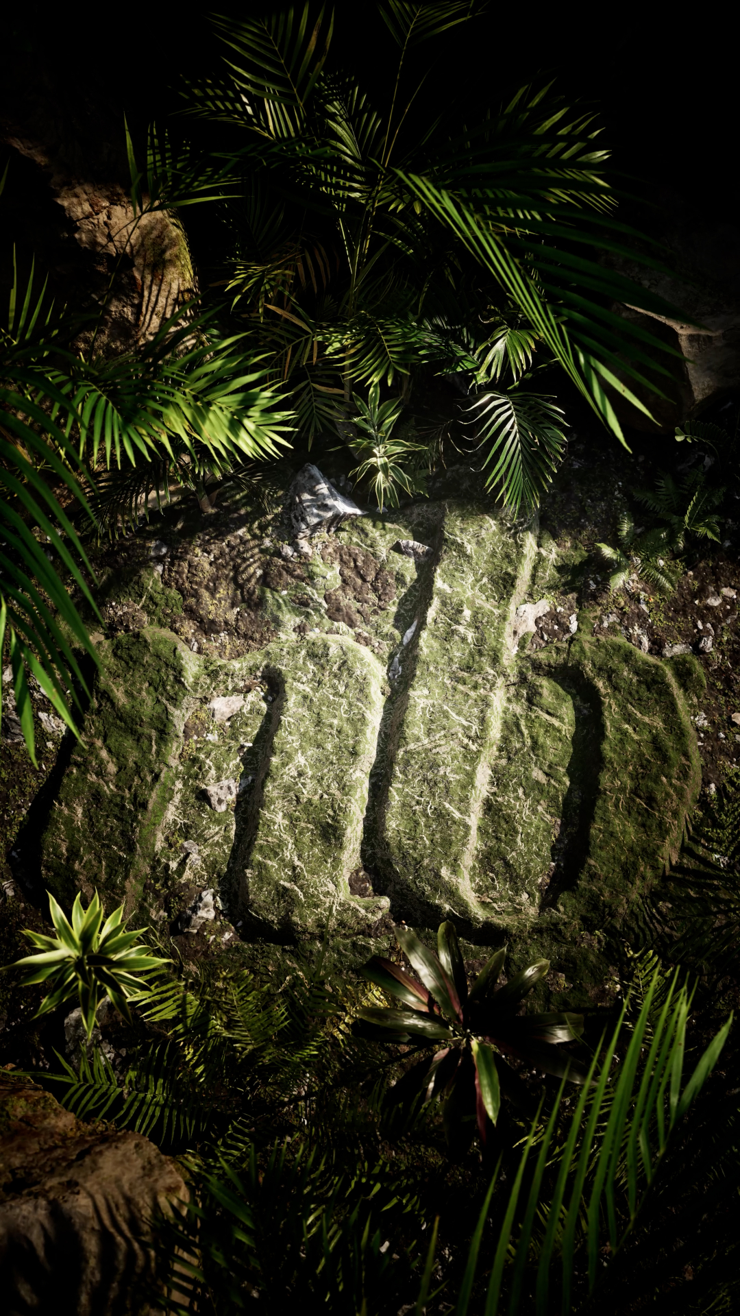 NB Liss — project cover
