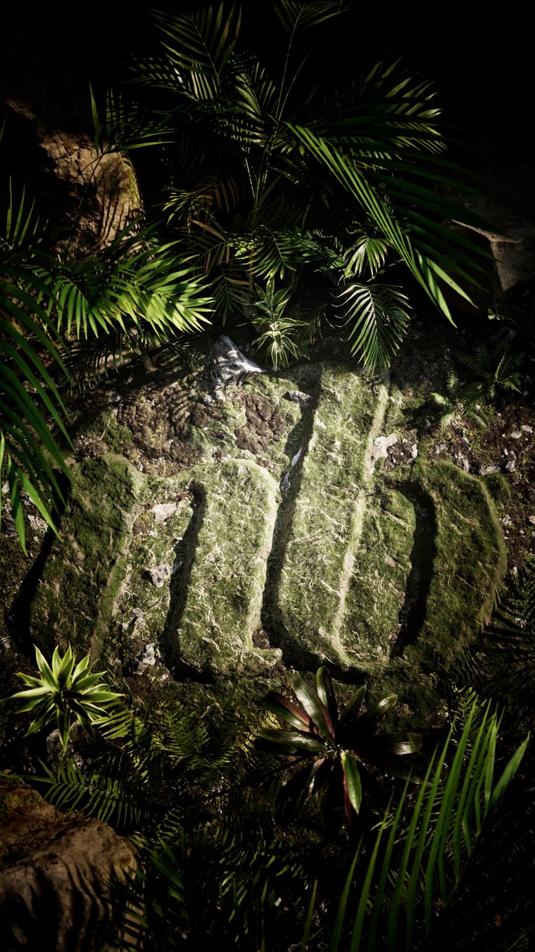 NB Liss — project cover